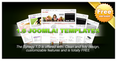 ByJoomla! Template - Synegy